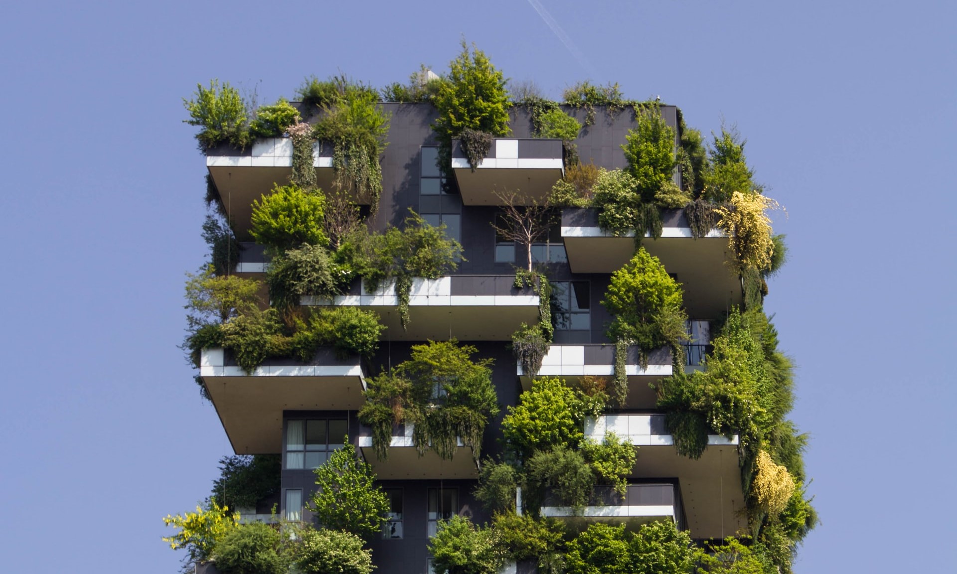 Nachhaltige Immobilien: Gut für den Klimaschutz, gut für Investoren